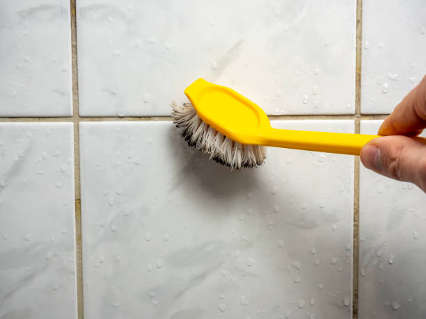 Best Mold Remediation  in Monroe, WA