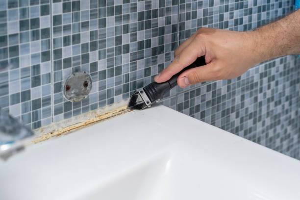 Best Affordable Mold Removal  in Monroe, WA